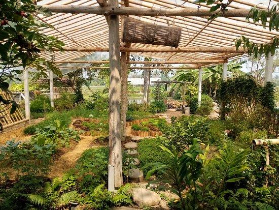 Huean Arharn Baan Cafe